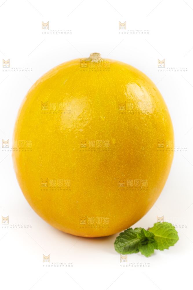 白底上的黄河蜜瓜