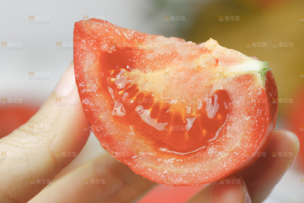 浅底上的普罗旺斯西红柿