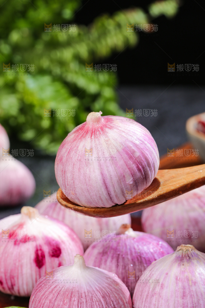 深底上的紫皮独蒜