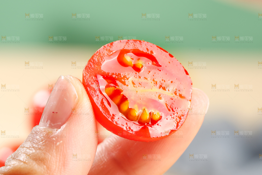 浅底上的圣女果