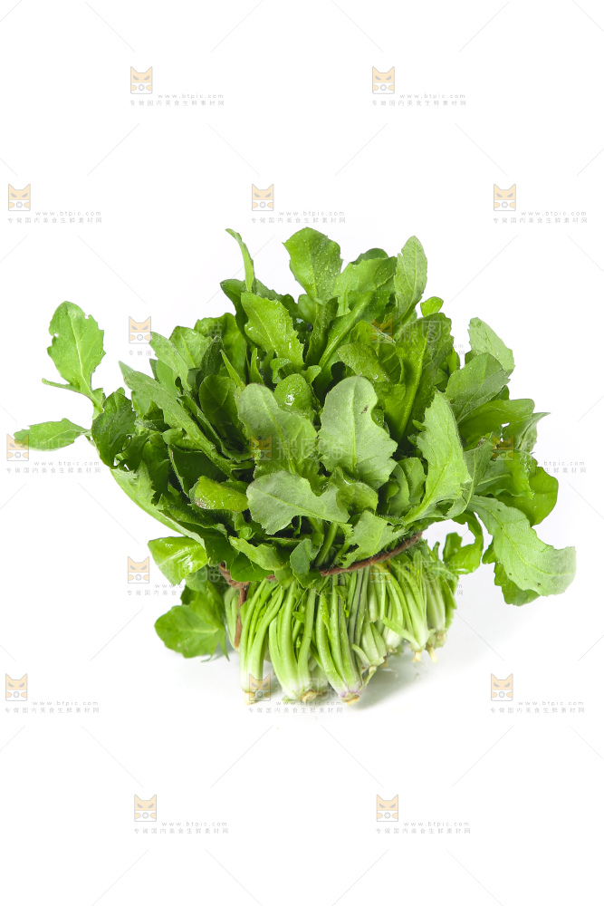 白底上的荠菜
