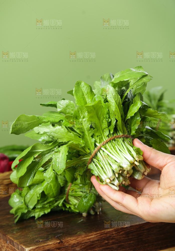 木底上的地菜