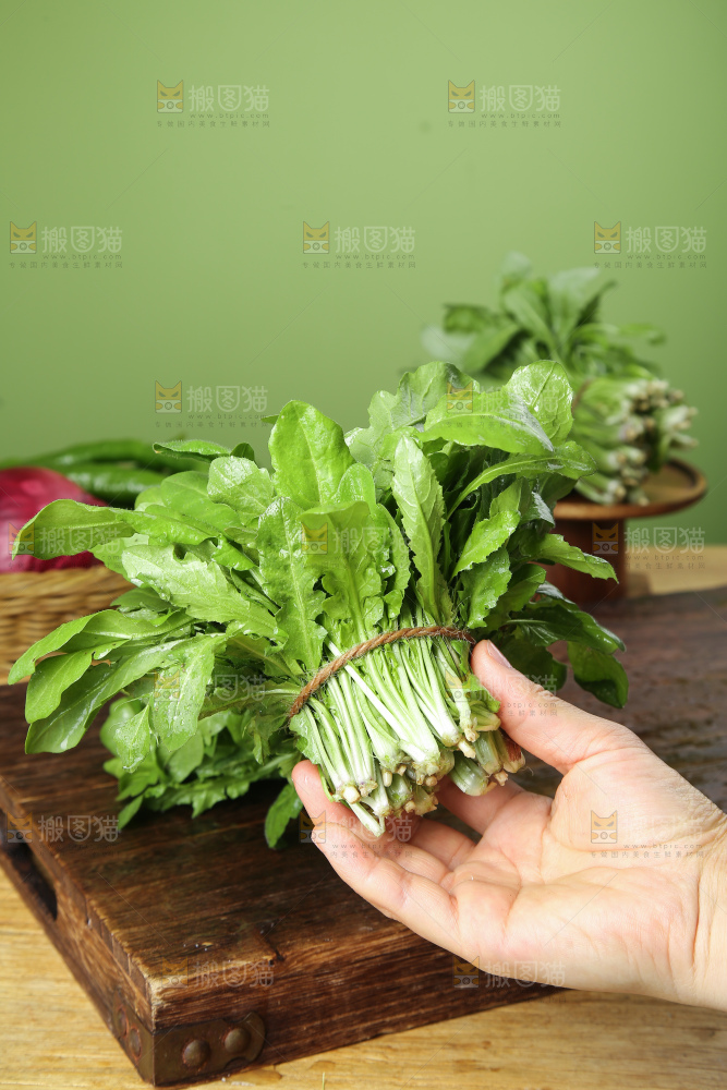 木底上的地菜
