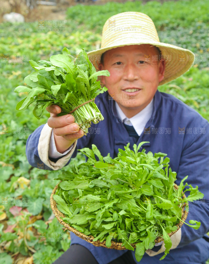 手里拿着地菜