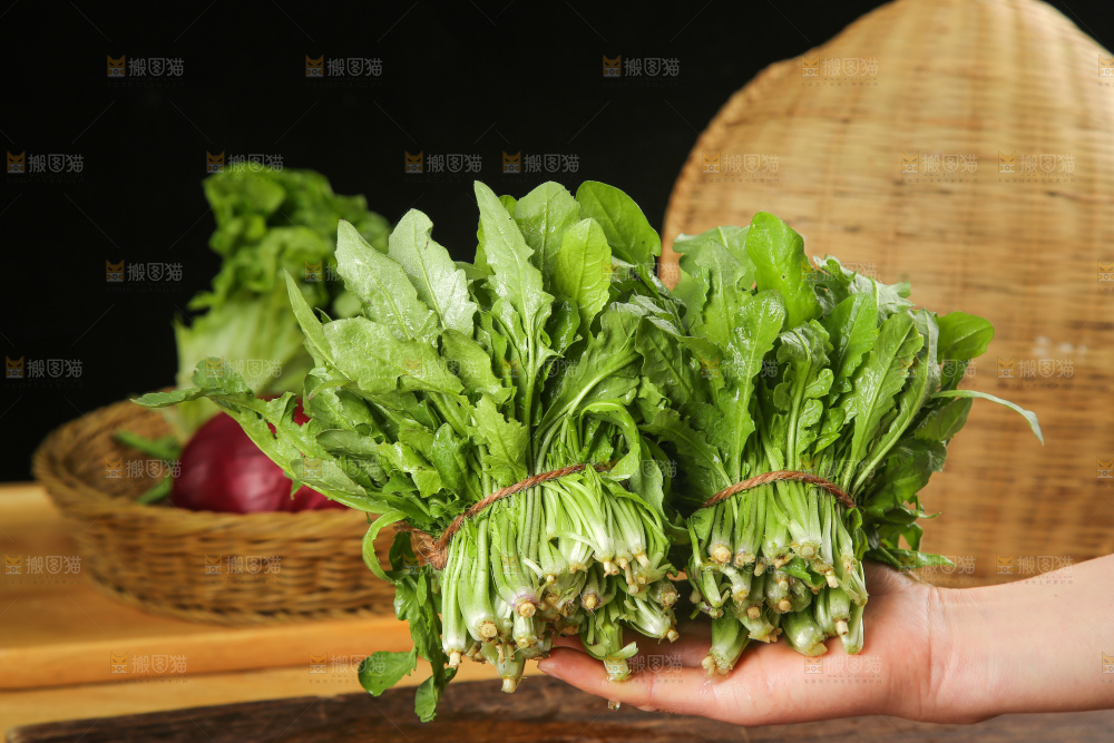 木底上的地菜