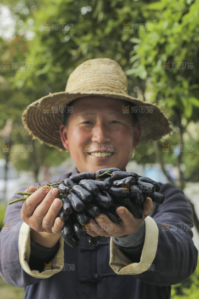 手里拿着蓝宝石葡萄