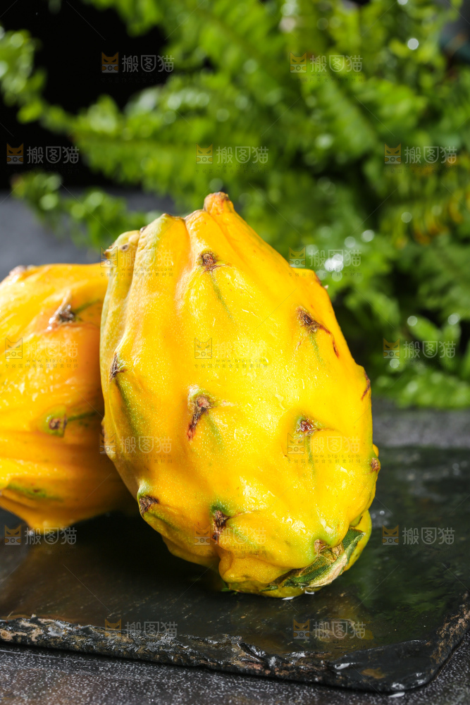 深底上的燕窝果