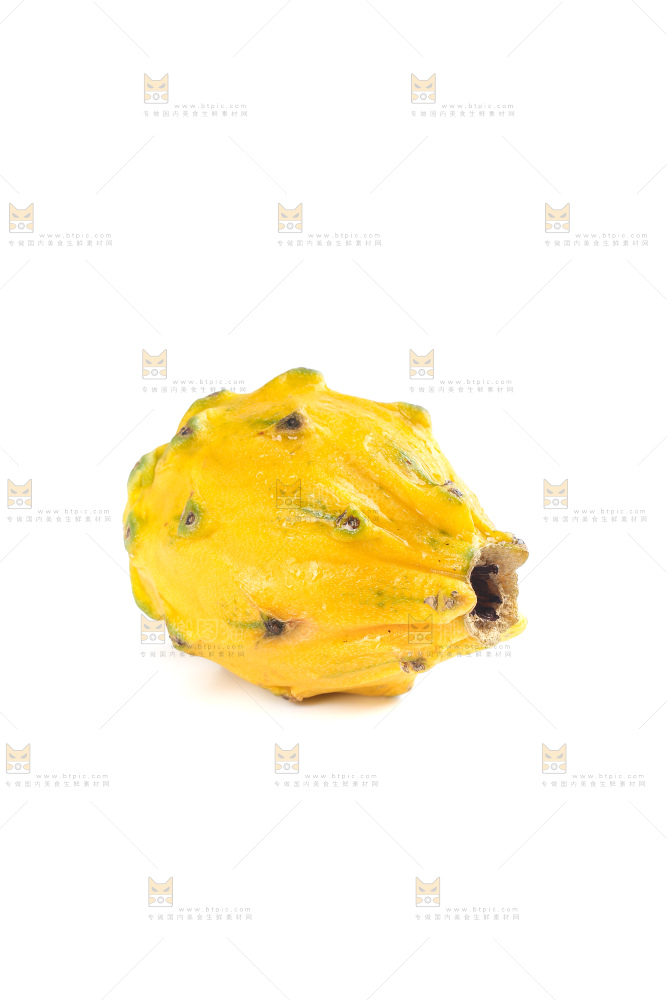 白底上的燕窝果