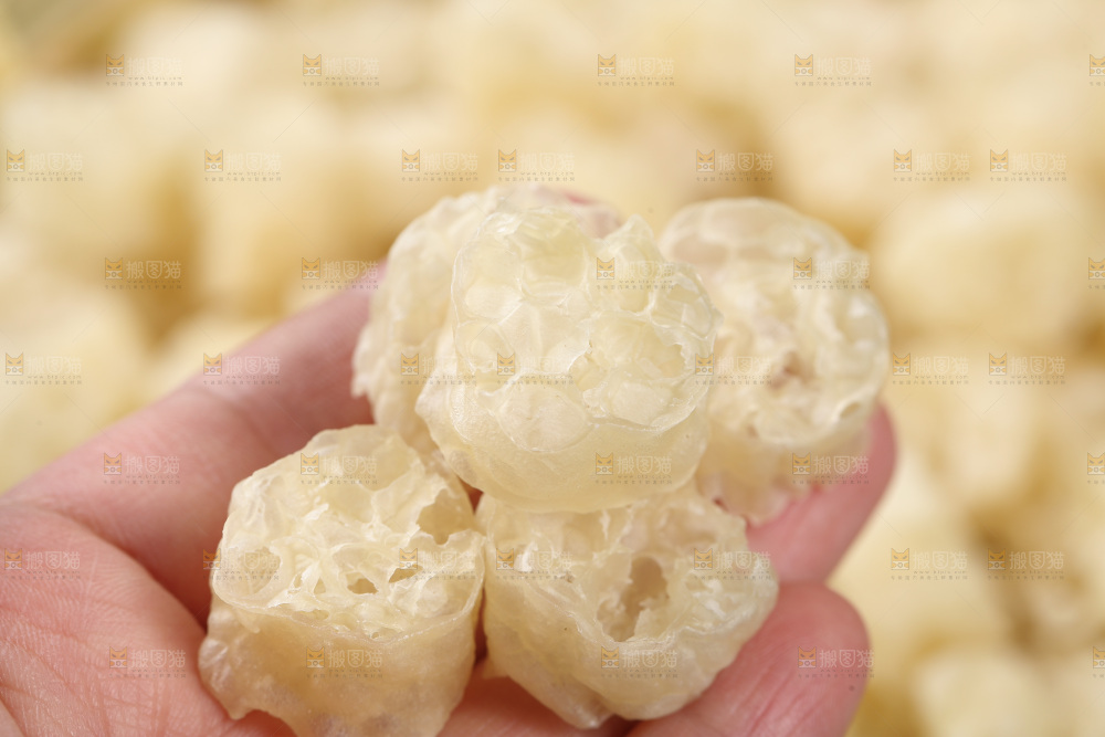 深底上的原味面藕