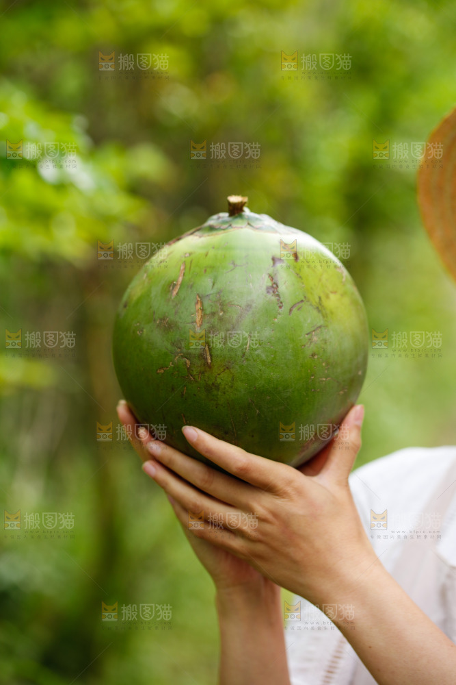 手里拿着椰青