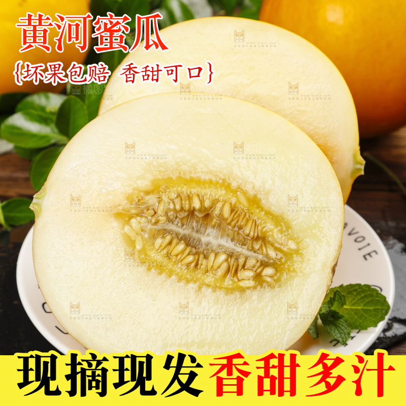 深底上的黄河蜜瓜