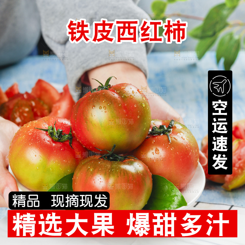 浅底上的铁皮西红柿