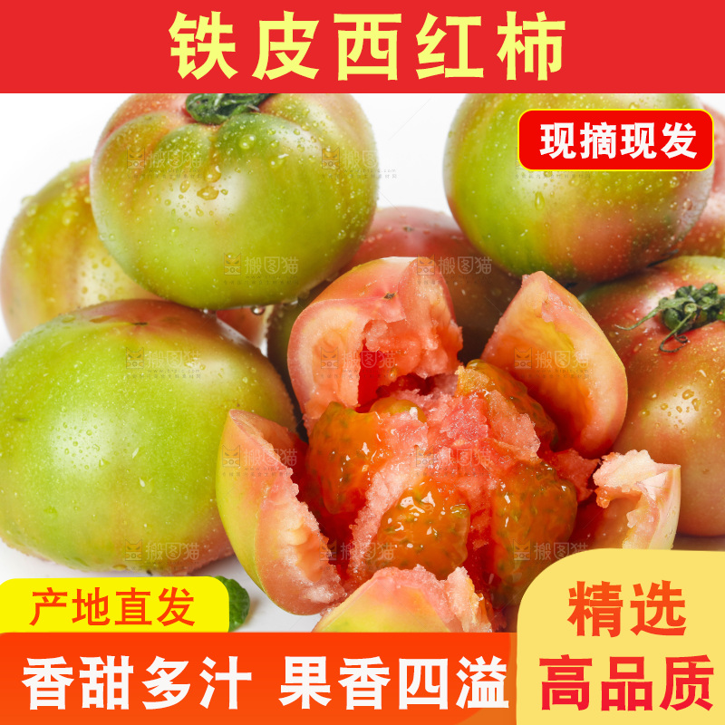 白底上的铁皮西红柿