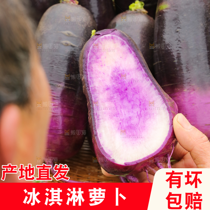 手里拿着冰淇凌萝卜