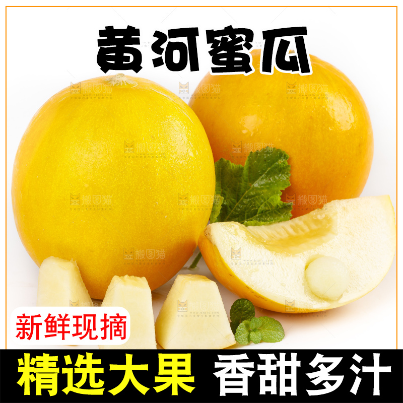 白底上的黄河蜜瓜