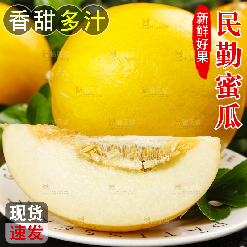 深底上的黄河蜜瓜