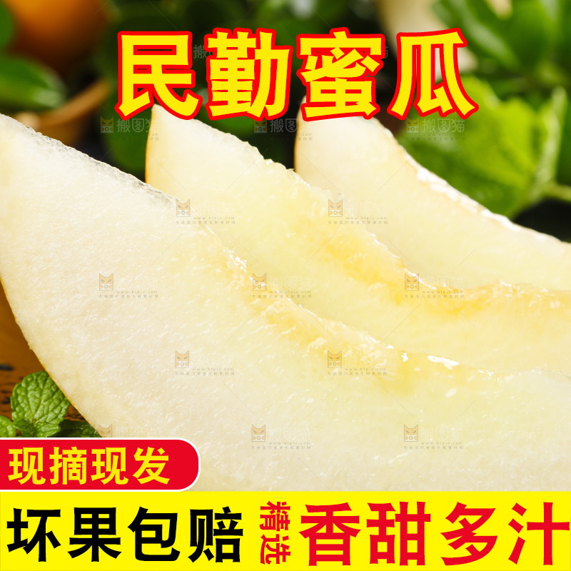 深底上的黄河蜜瓜