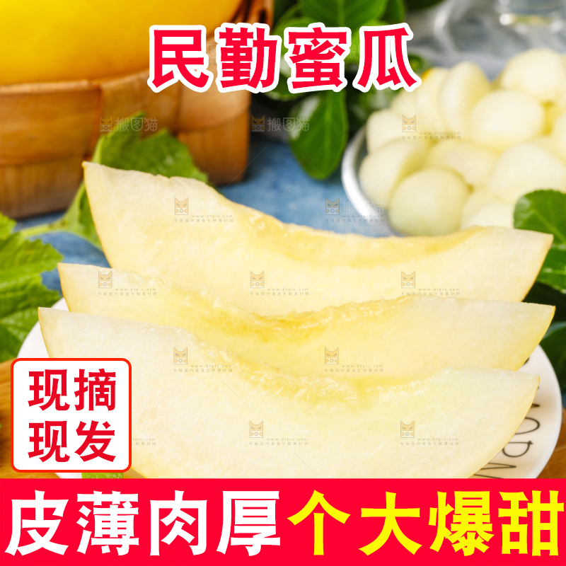 浅底上的黄河蜜瓜