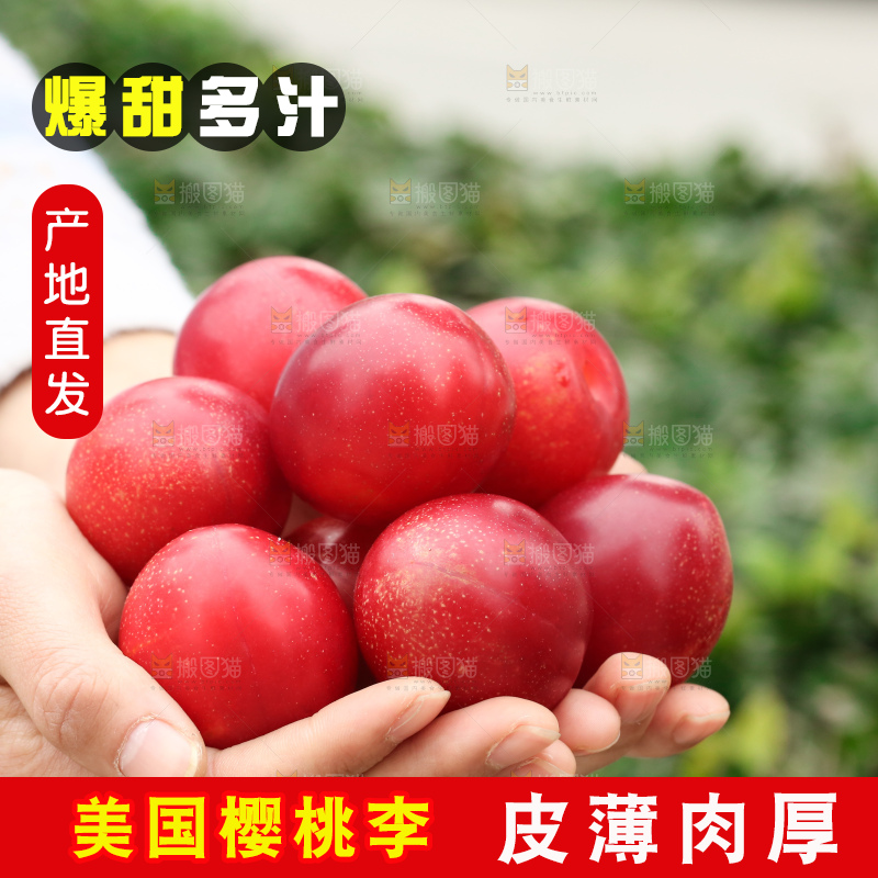 手里拿着樱桃李