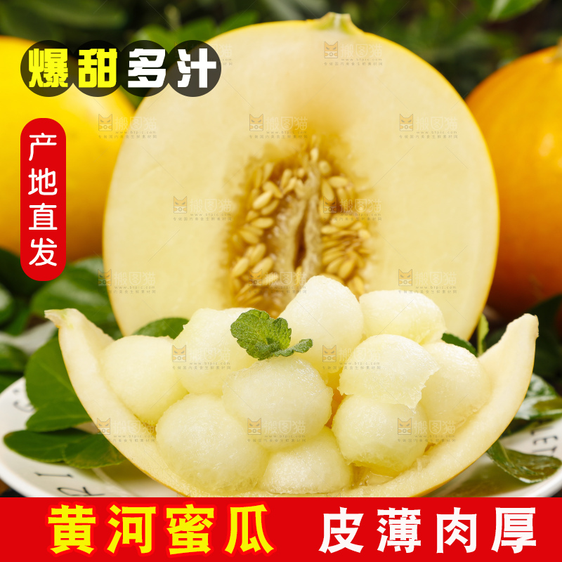深底上的黄河蜜瓜