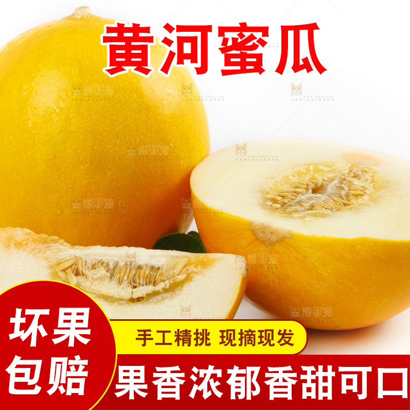 白底上的黄河蜜瓜
