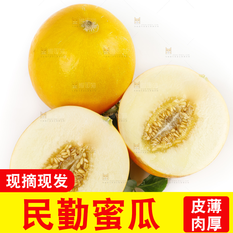 白底上的黄河蜜瓜