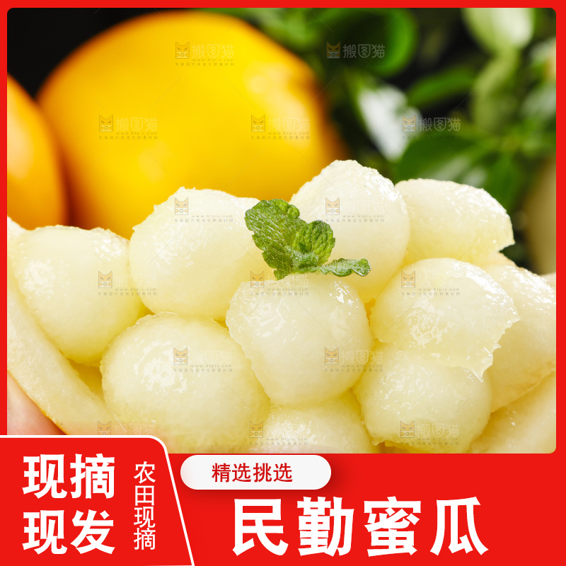 深底上的黄河蜜瓜
