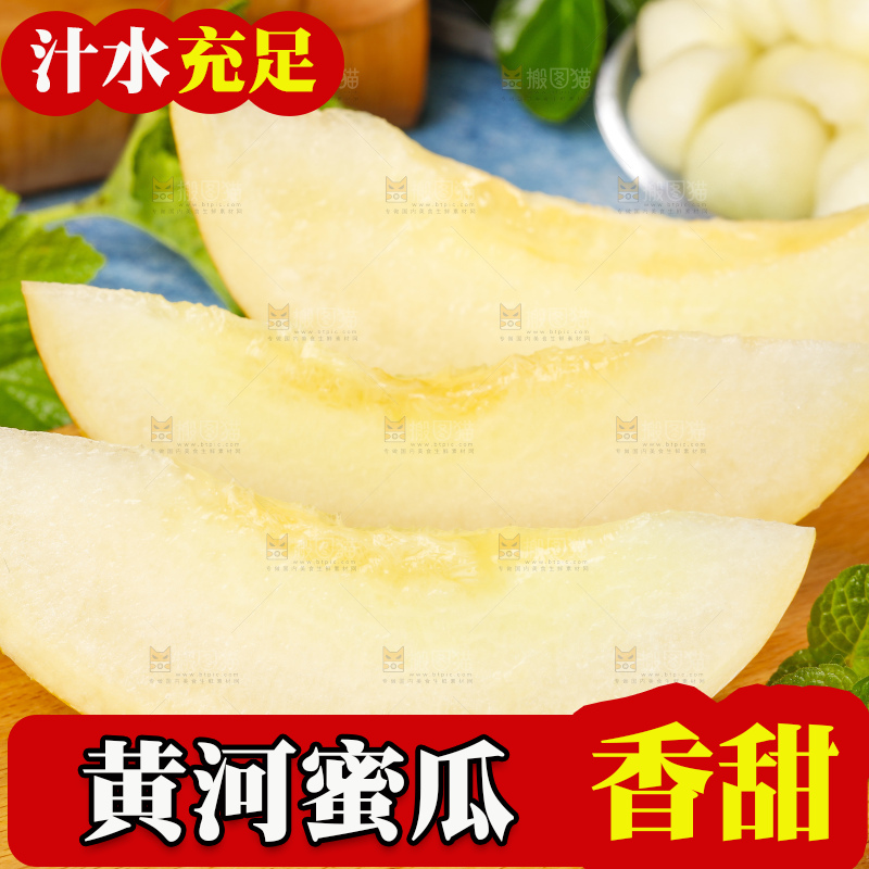 浅底上的黄河蜜瓜