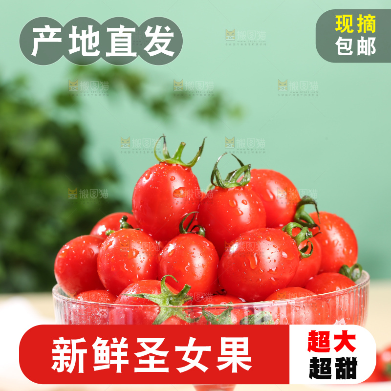 浅底上的圣女果