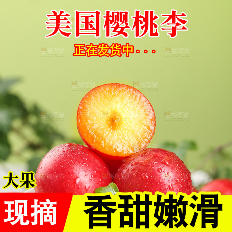 浅底上的樱桃李
