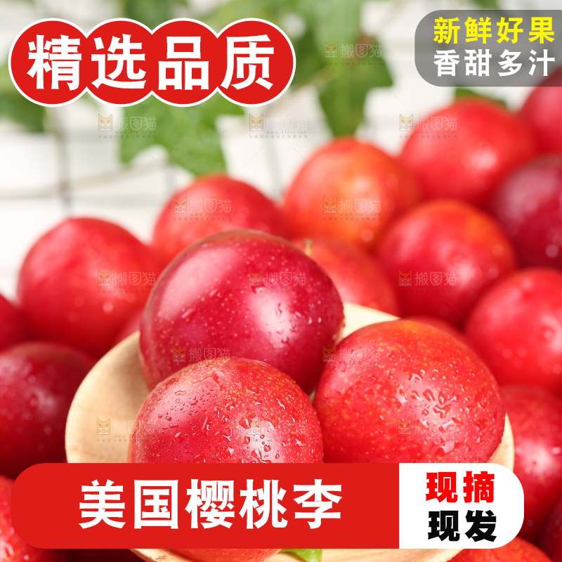 浅底上的樱桃李