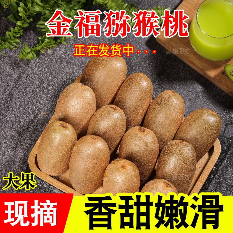 深底上的金福猕猴桃