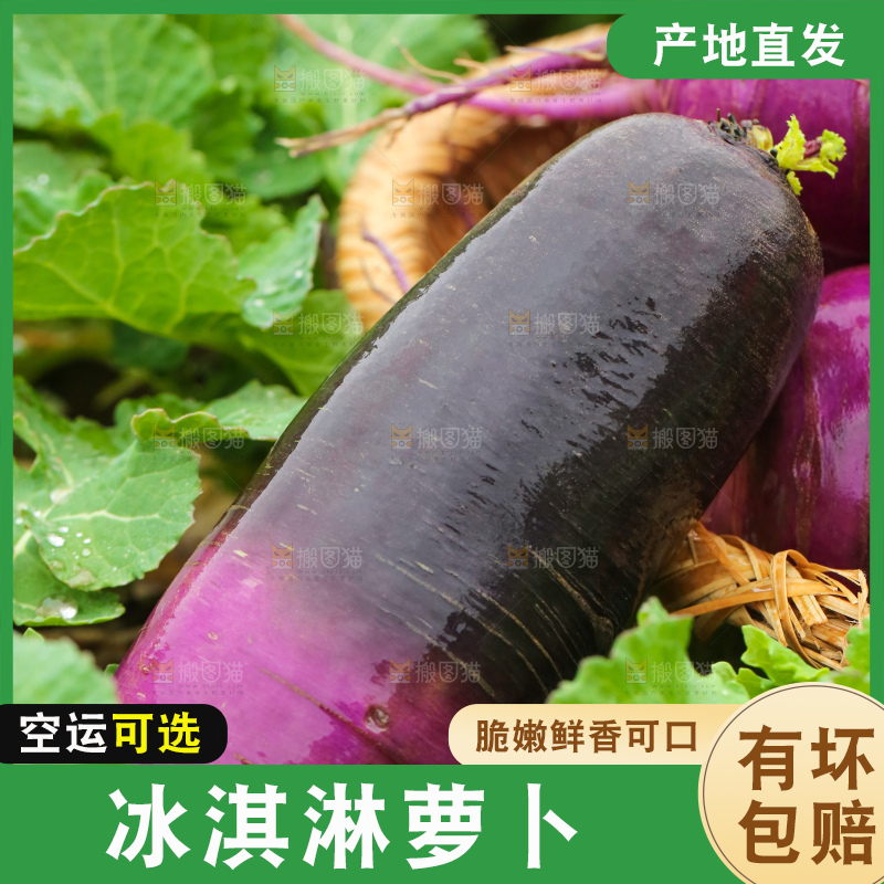 地里的冰淇凌萝卜