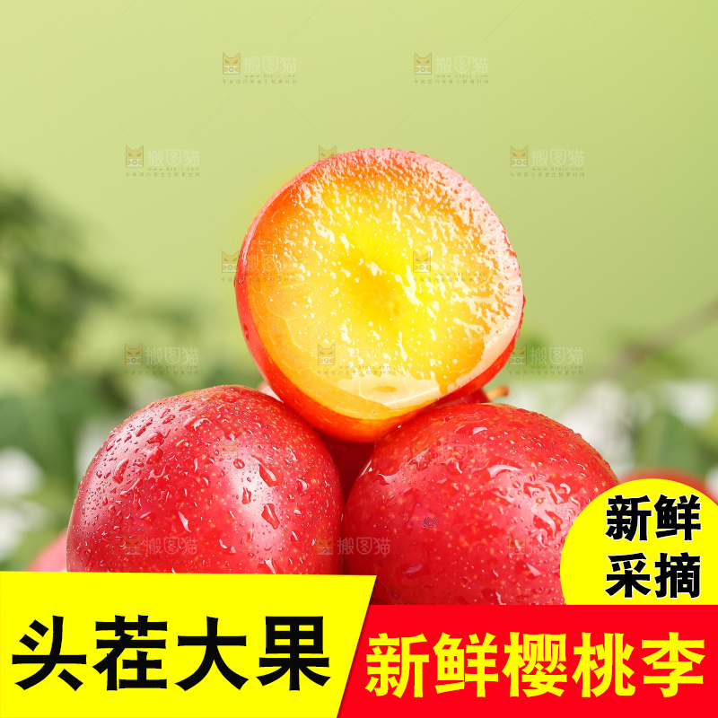 浅底上的樱桃李