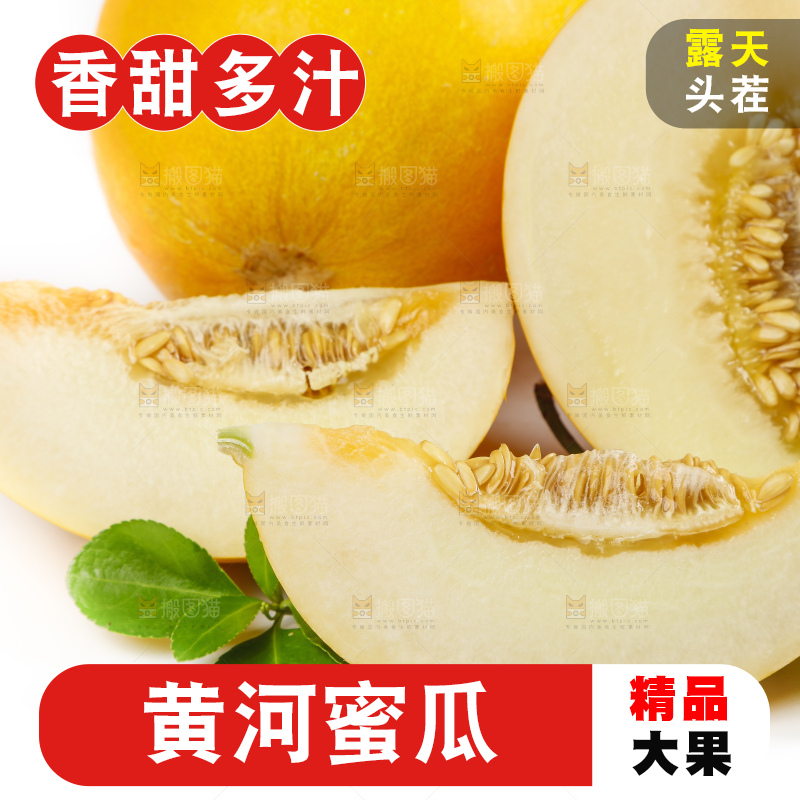 白底上的黄河蜜瓜