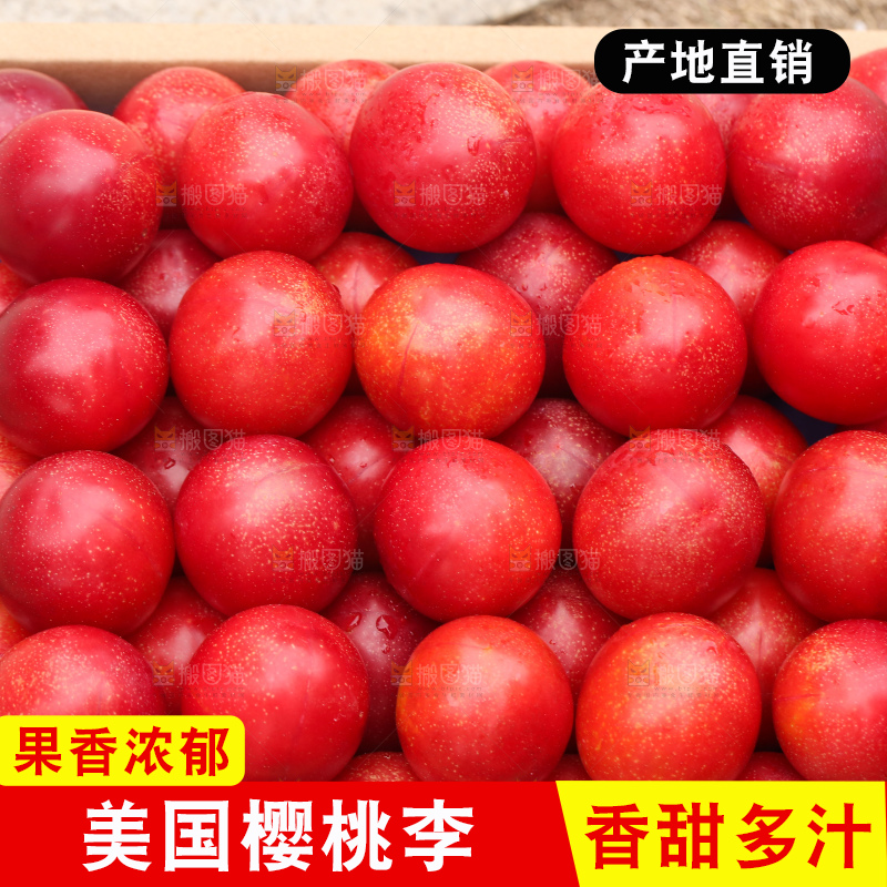 深底上的樱桃李
