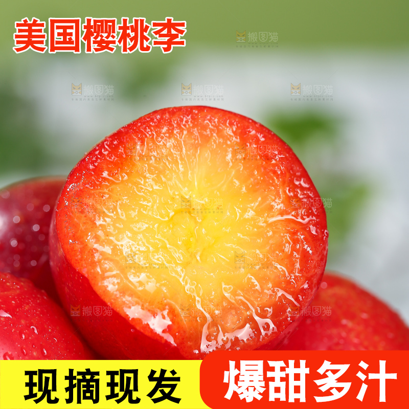 浅底上的樱桃李