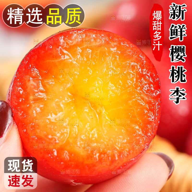 浅底上的樱桃李