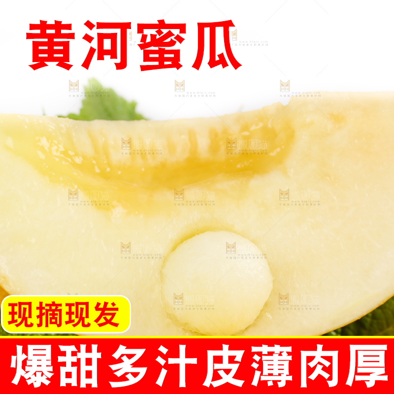 白底上的黄河蜜瓜