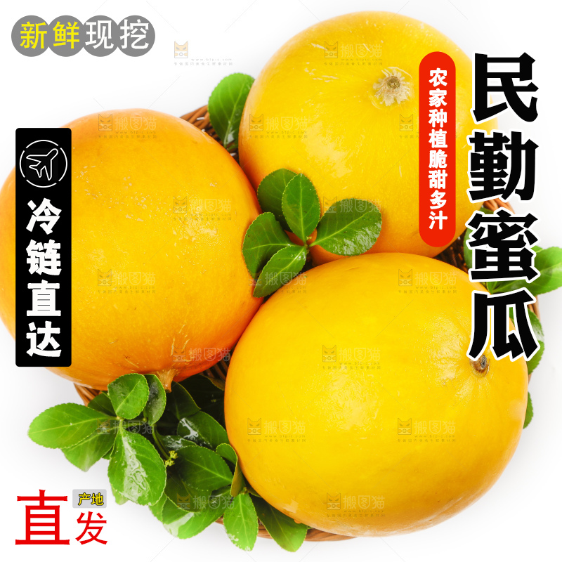 白底上的黄河蜜瓜