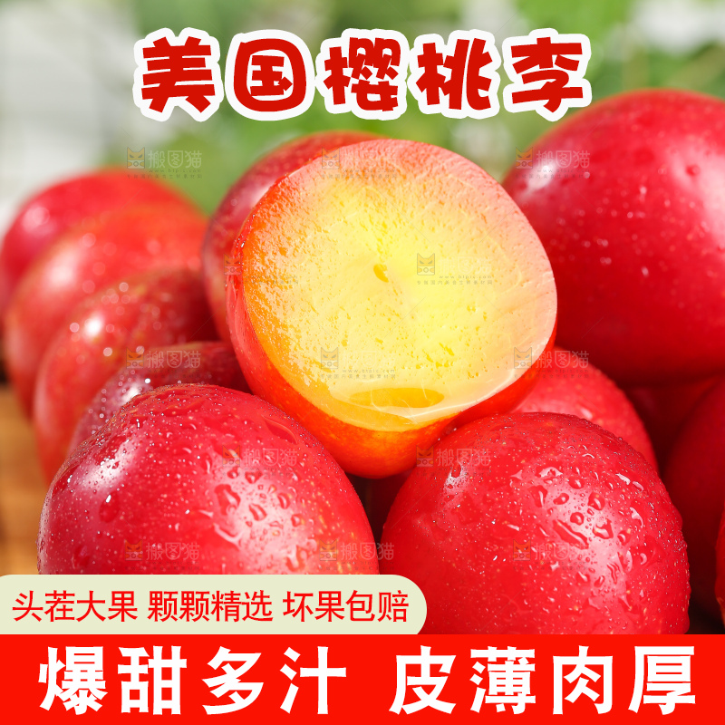 浅底上的樱桃李