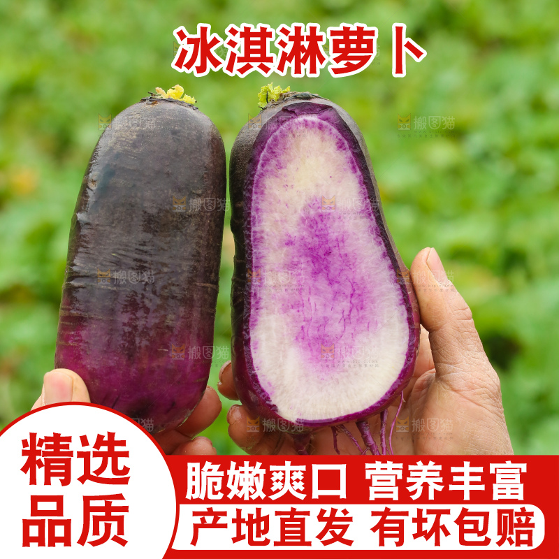 手里拿着冰淇凌萝卜