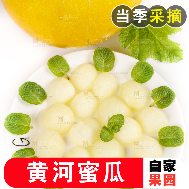 白底上的黄河蜜瓜