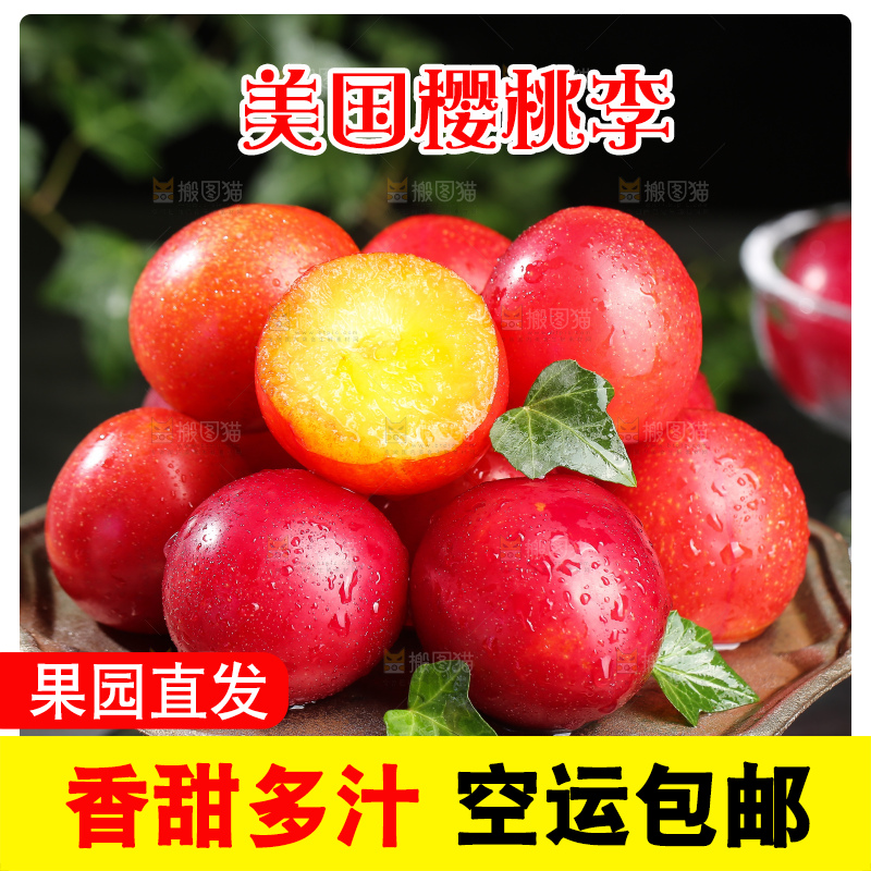 深底上的樱桃李