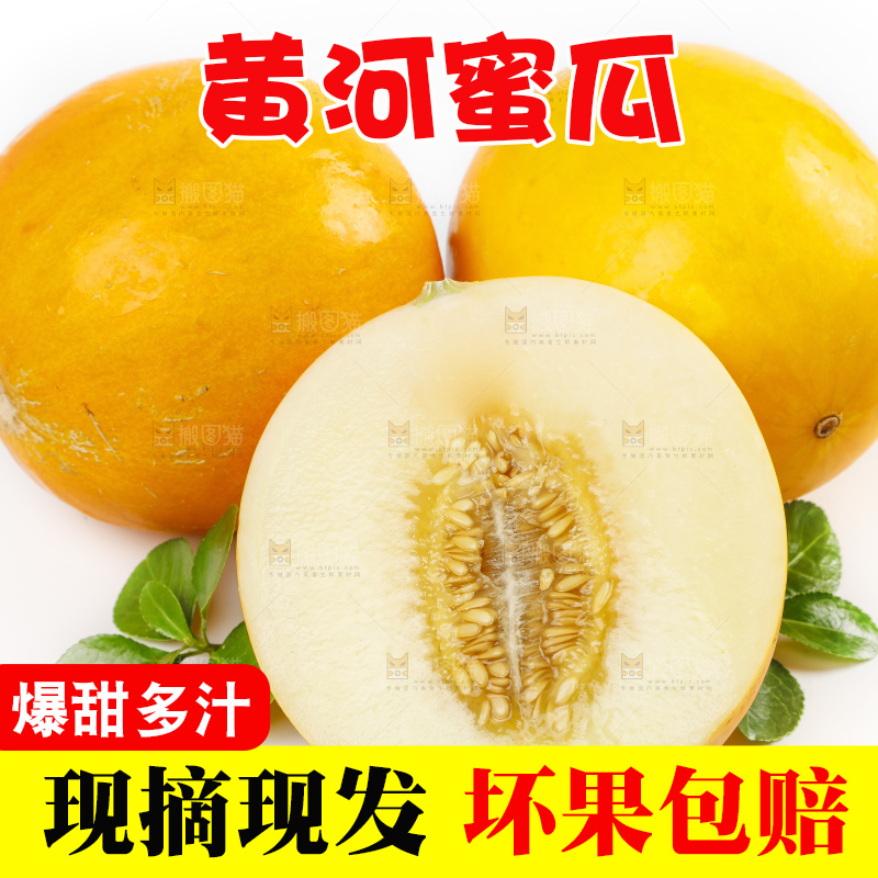 白底上的黄河蜜瓜