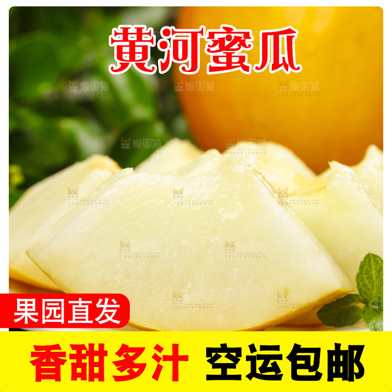 深底上的黄河蜜瓜