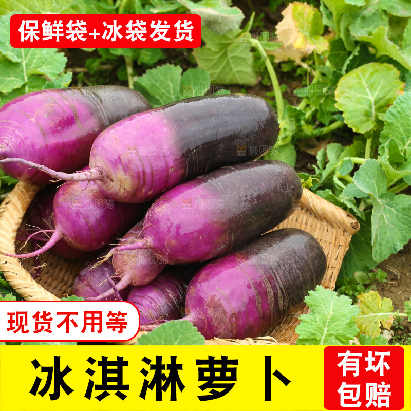 地里的冰淇凌萝卜