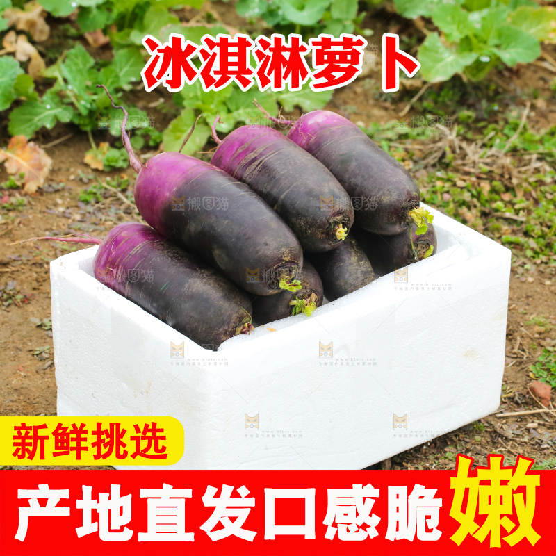 地里的冰淇凌萝卜