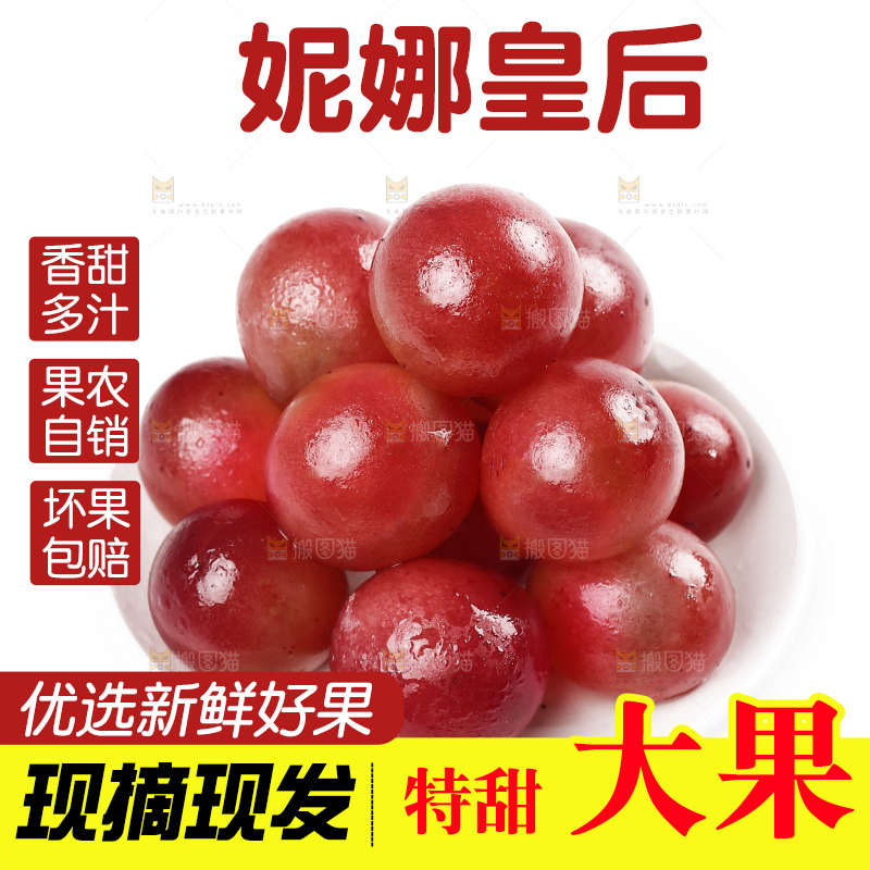 白底上的妮娜皇后葡萄