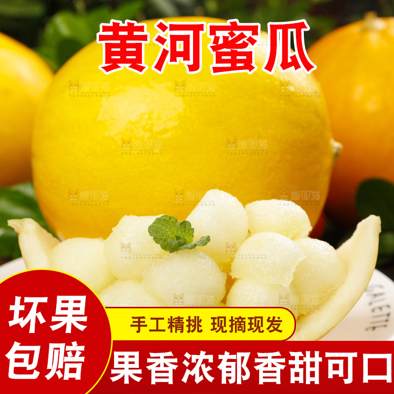 深底上的黄河蜜瓜